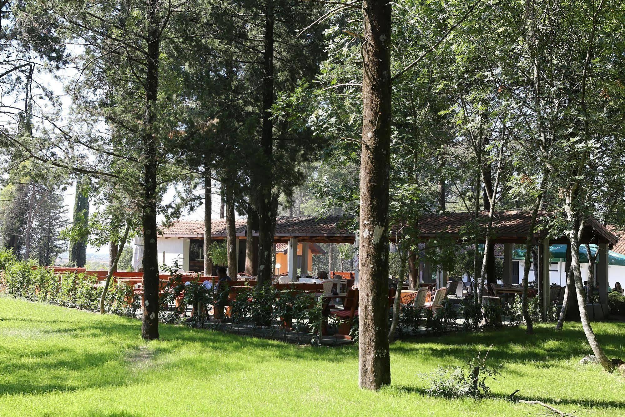 Hotel Park Visici Exterior photo